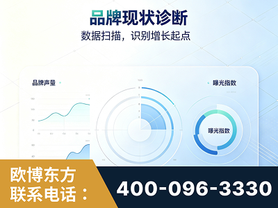 来宾-品牌现状诊断