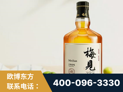 来宾-梅见青梅酒